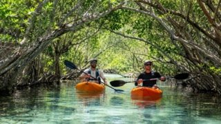 On the roads of Yucatán: lagoons, cenotes, and Mayan cities