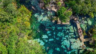 Cenote riviera maya, quintana roo, Mexico