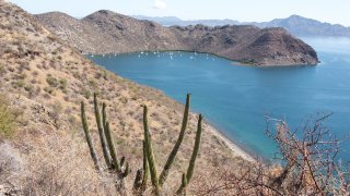 Paysage de la basse Californie au Mexique