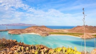 Baja California Sur : the world’s aquarium, according to Cousteau