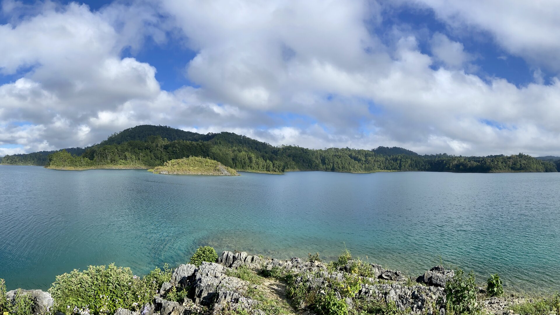 Discovering Chiapas : <br><b>Nature and fauna & flora<b>