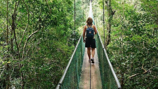 Avis voyageur Matyas Malomhegyi