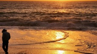 <strong>Mexico, Oaxaca & Yucatán tour</strong><br> 3 weeks of culture and nature